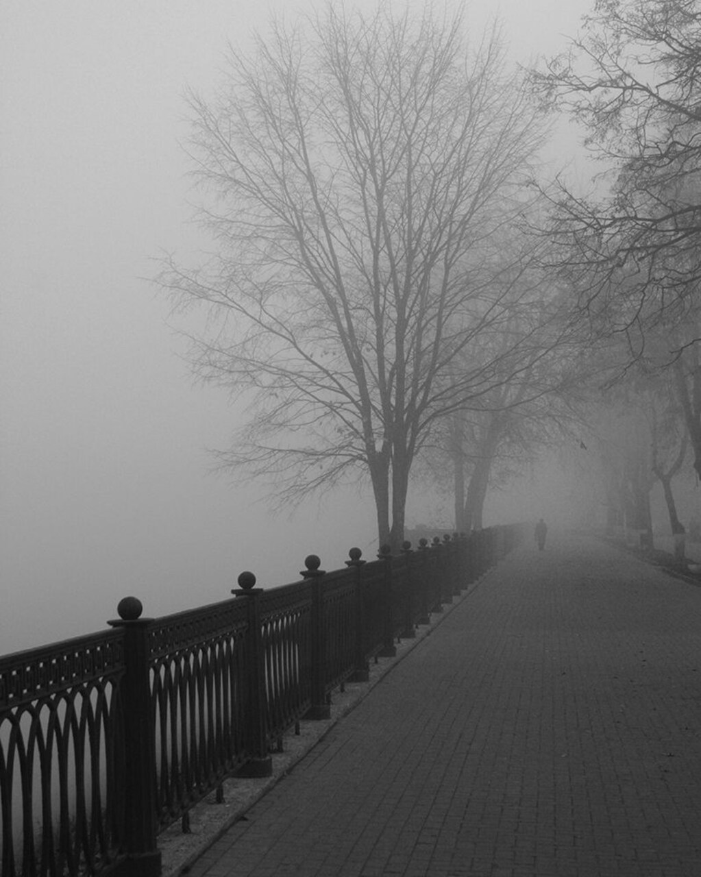 Promenade in the Mist Poster Print by Anonymous Anonymous - Item # VARPDXFAF94